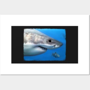 Great white and pilot fish Posters and Art